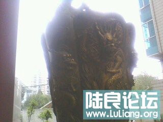 IMG0118A.jpg