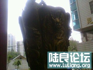 IMG0117A.jpg