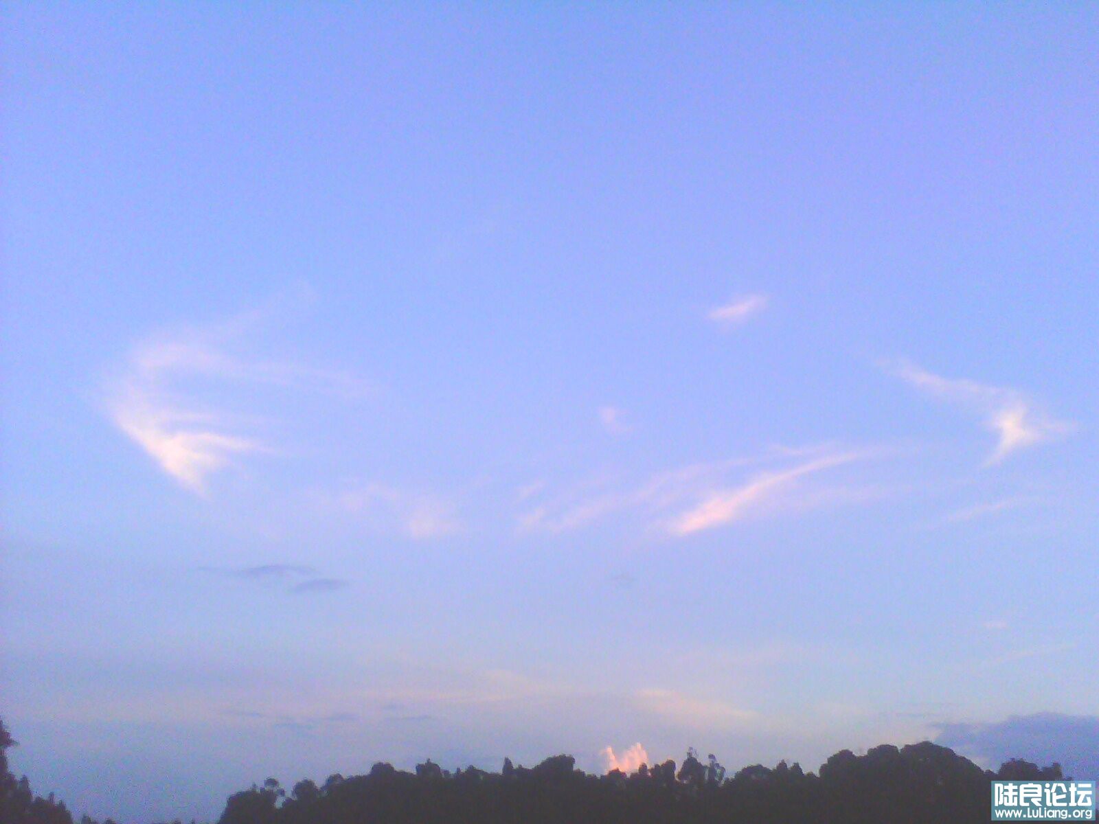 IMG0112A.jpg