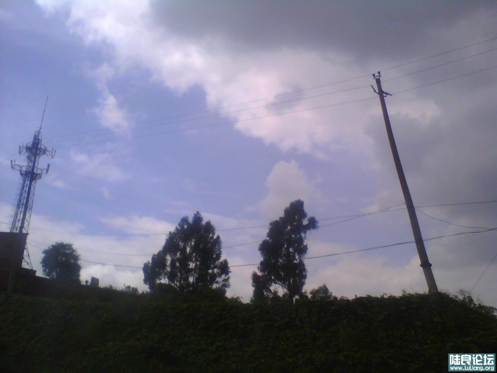 IMG0133A.jpg