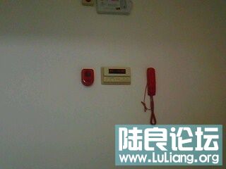 IMG0159A.jpg