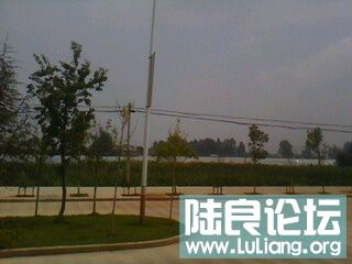 IMG0189A.jpg