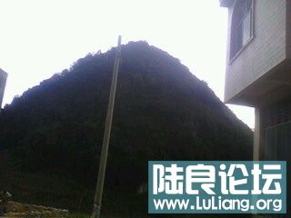 IMG0215A.jpg