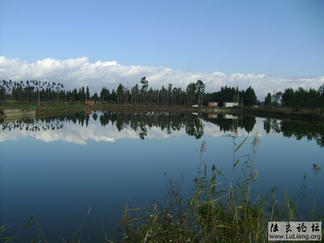 DSC03564.JPG