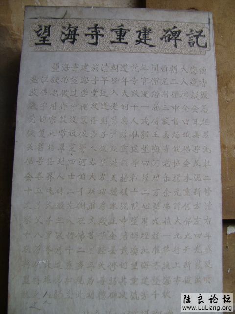 DSC03705.JPG
