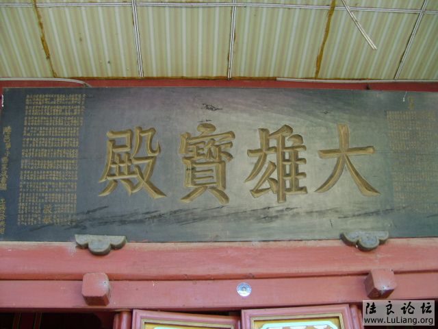 DSC03712.JPG