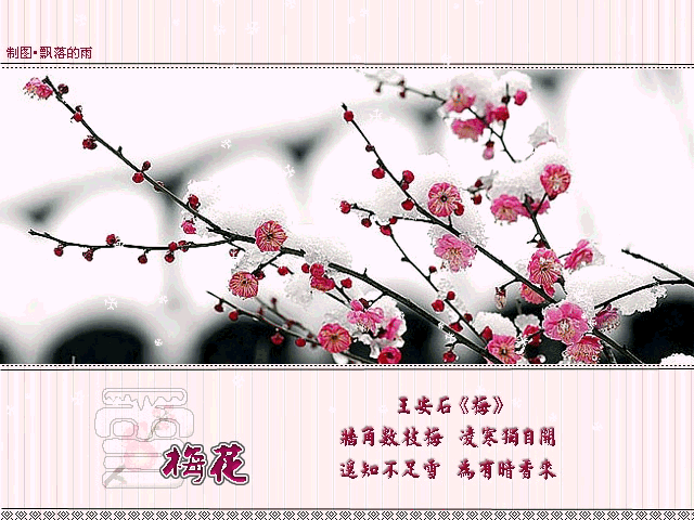 qqeba,20080614231939321.gif