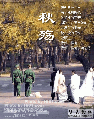 ol2.photo.qq.gif