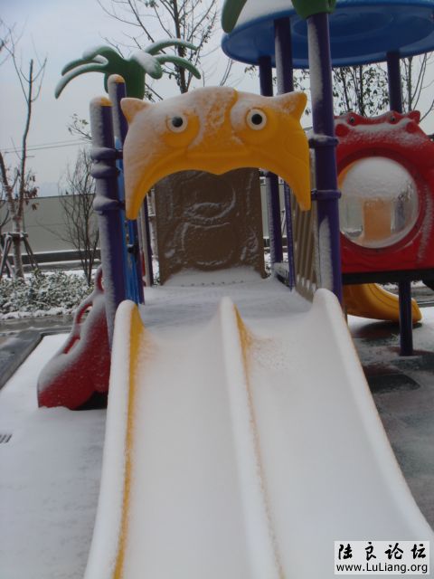 DSC04356.JPG