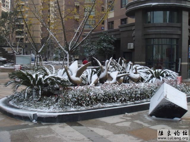 DSC04403.JPG