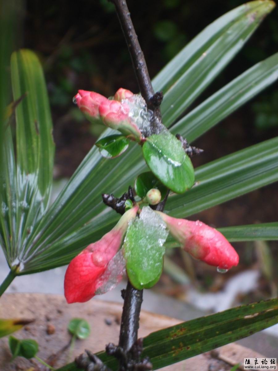 С DSCF20714 (6).JPG