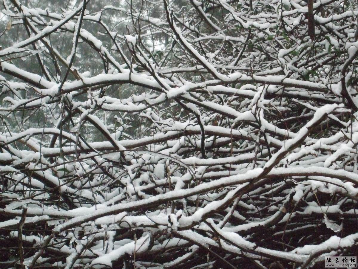 С DSCF20714 (4).JPG