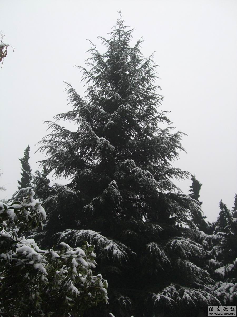 С DSCF20714 (3).JPG