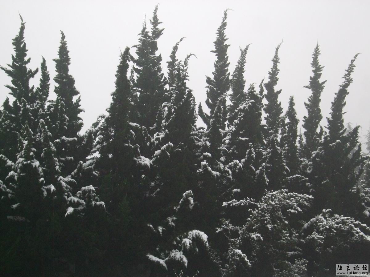 С DSCF20714 (2).JPG