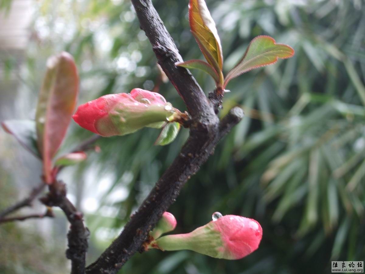 С DSCF20714 (5).JPG